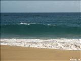 Shore Island Beach   - ISABELA